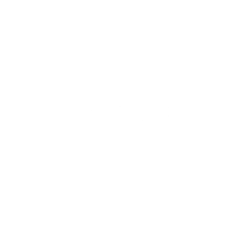 Singla Travel